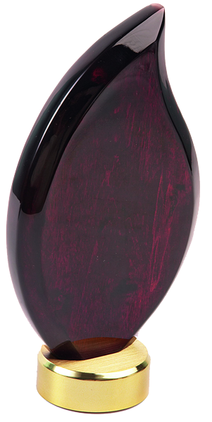 ��������� ��������� �������